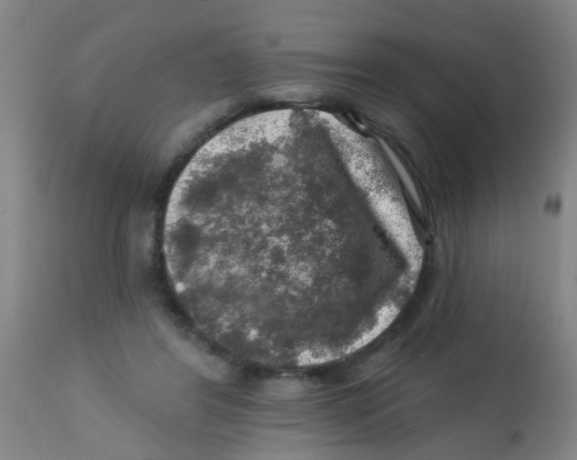 X0000113860404200910221445