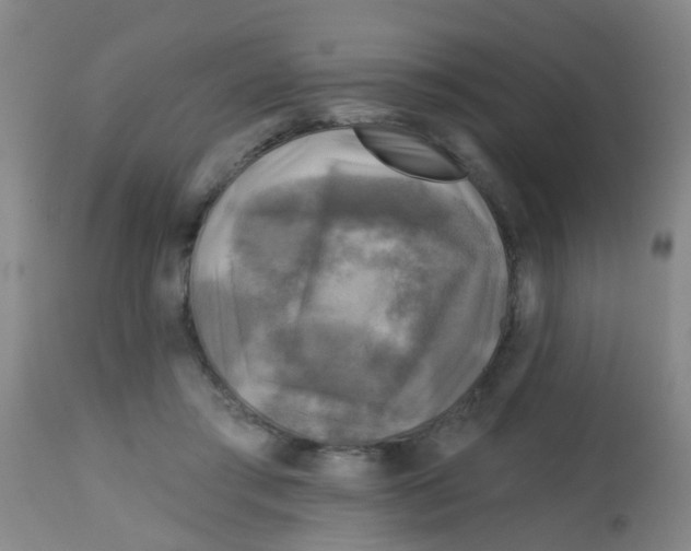 X0000113860405200910221445