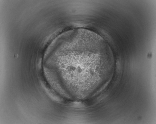 X0000113860406200910221445
