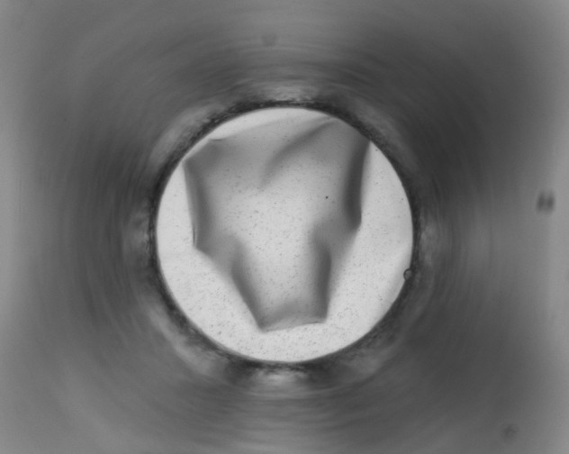 X0000113860407200910221445