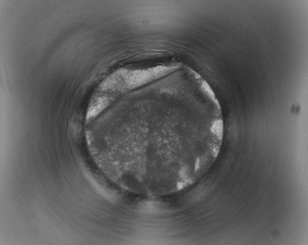 X0000113860408200910221445