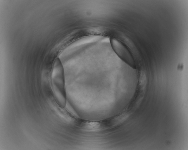 X0000113860409200910221445