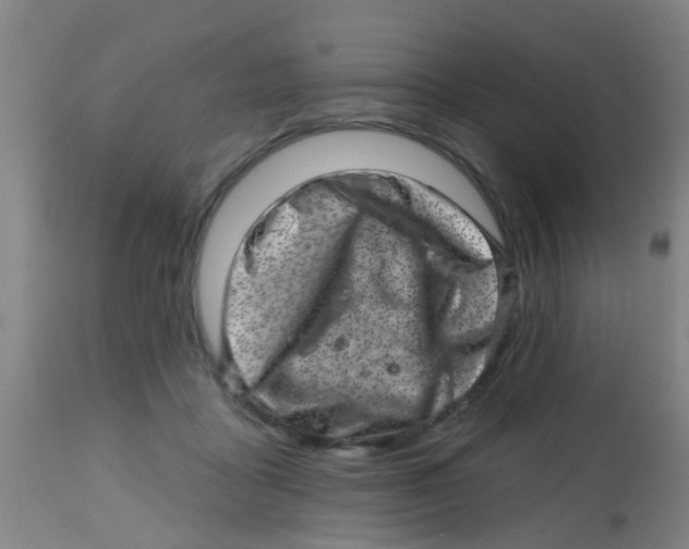X0000113860411200910221445