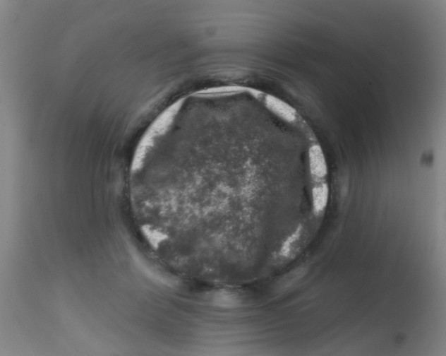 X0000113860412200910221445