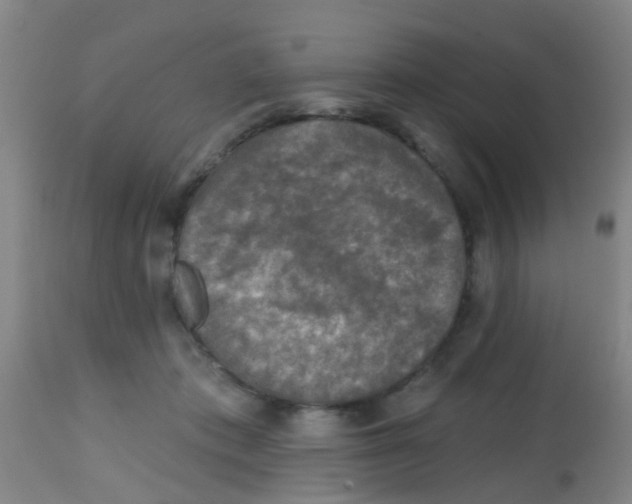 X0000113860413200910221445