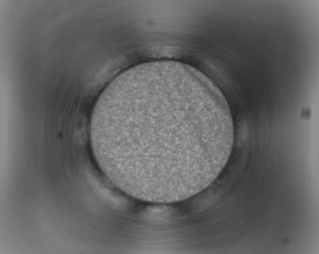 X0000113860414200910221445