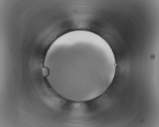 X0000113860415200910221445