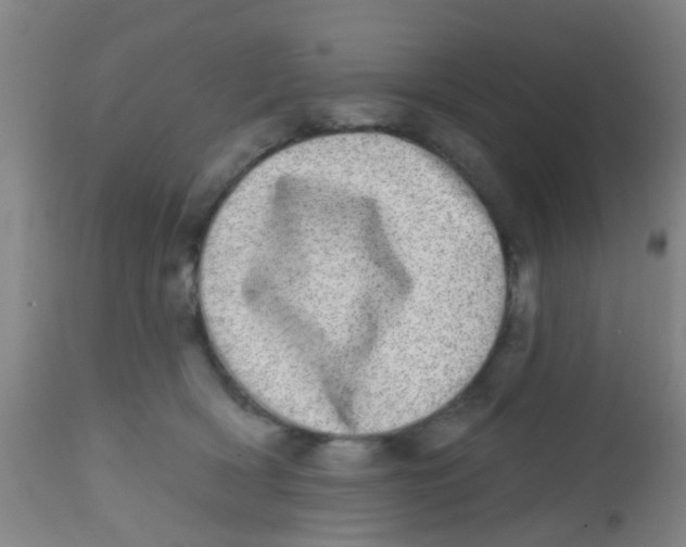 X0000113860418200910221445