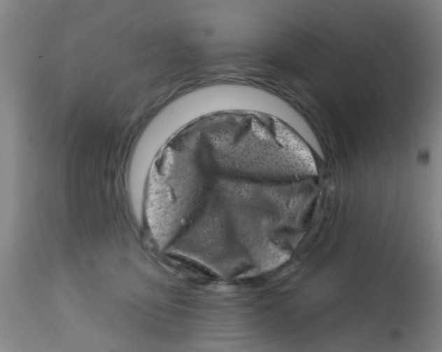 X0000113860419200910221445
