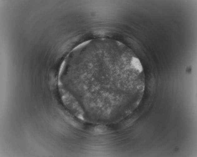 X0000113860420200910221445