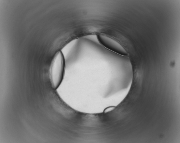 X0000113860421200910221445