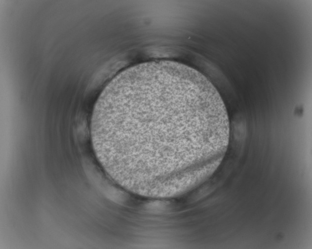 X0000113860422200910221445