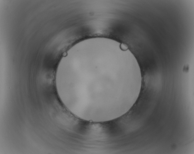 X0000113860423200910221445