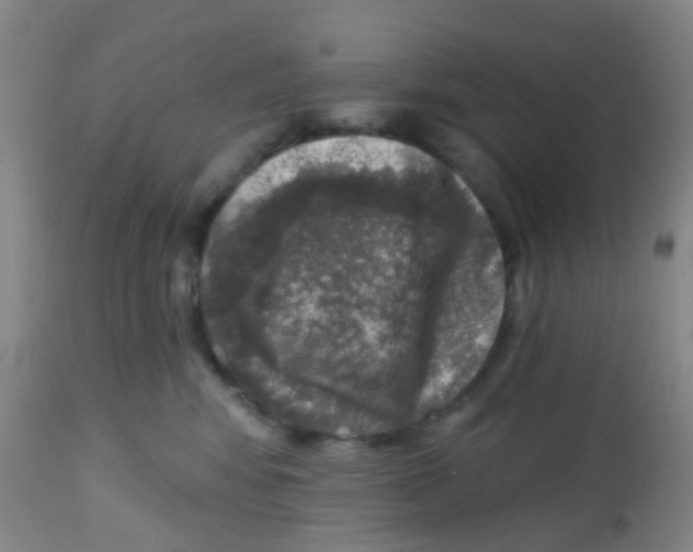 X0000113860424200910221445