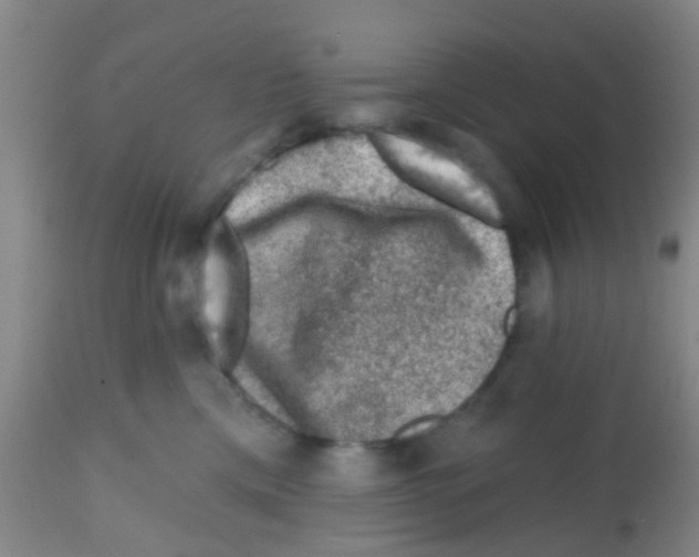 X0000113860425200910221445