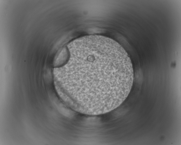 X0000113860426200910221445