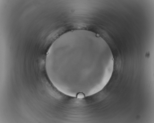 X0000113860427200910221445