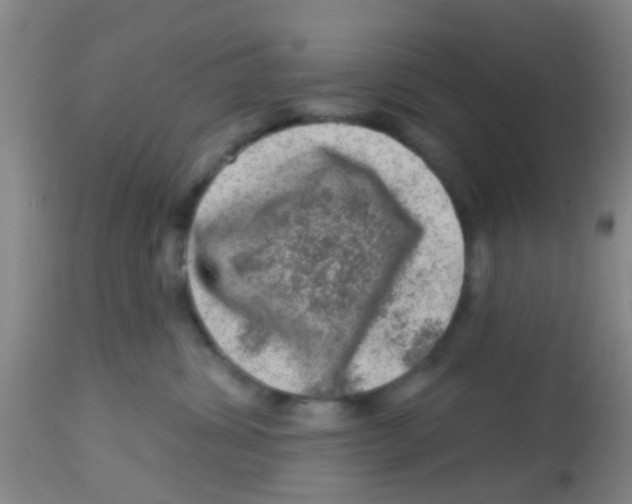 X0000113860428200910221445