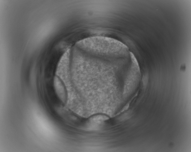 X0000113860429200910221445