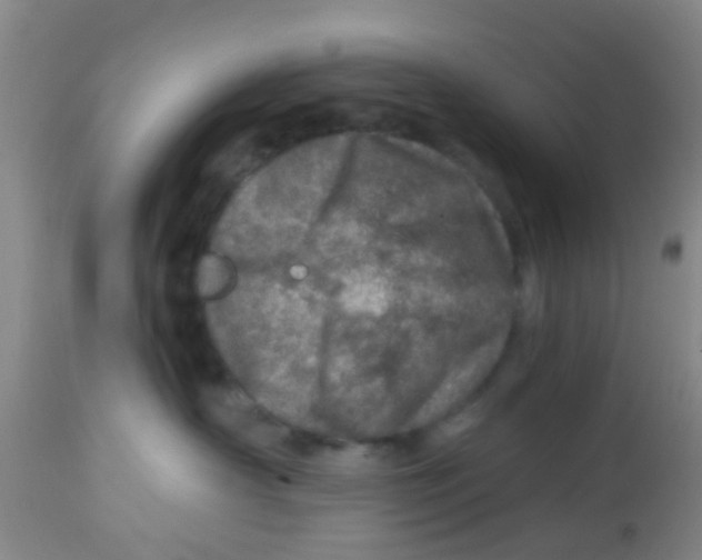 X0000113860430200910221445