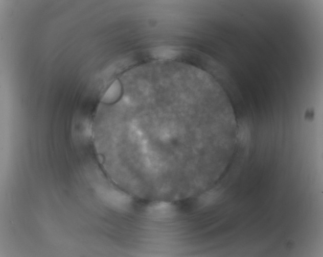 X0000113860431200910221445