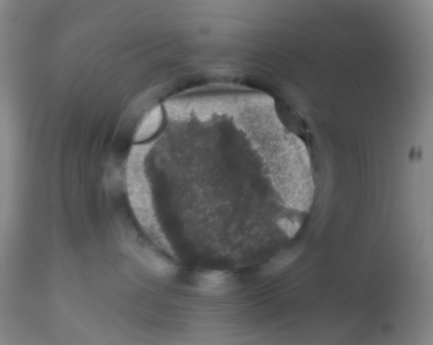X0000113860432200910221445