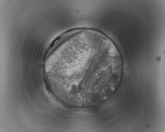 X0000113860434200910221444