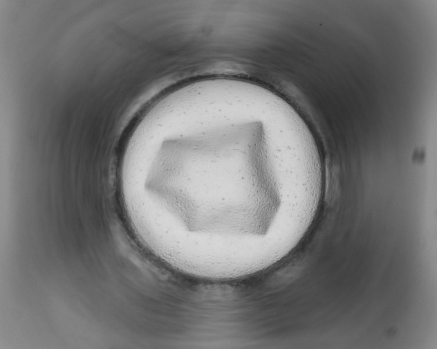 X0000113860435200910221444