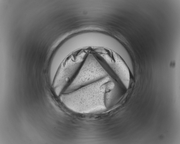 X0000113860436200910221444
