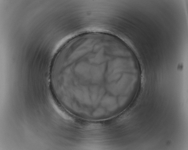 X0000113860438200910221444