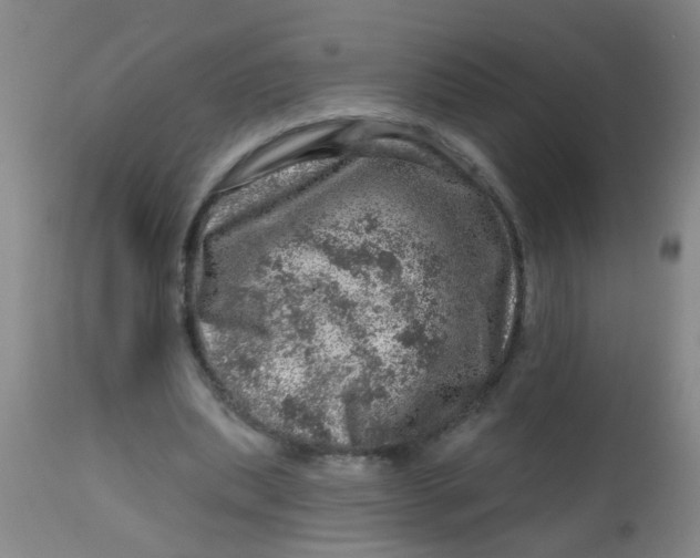 X0000113860439200910221444
