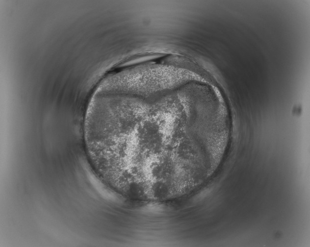X0000113860441200910221445