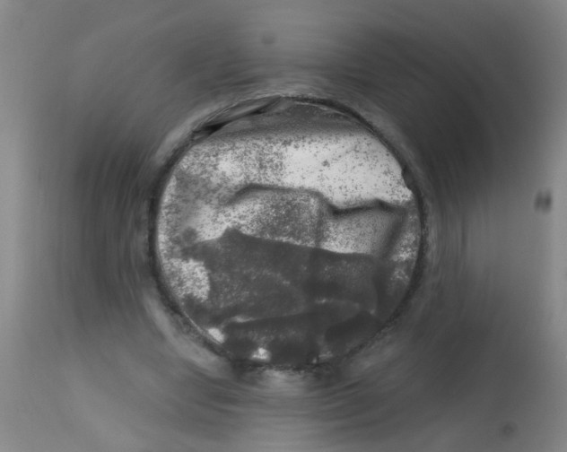 X0000113860442200910221445