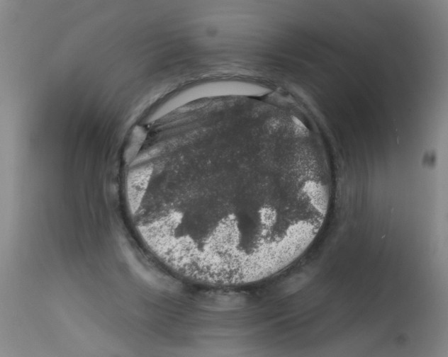 X0000113860443200910221445