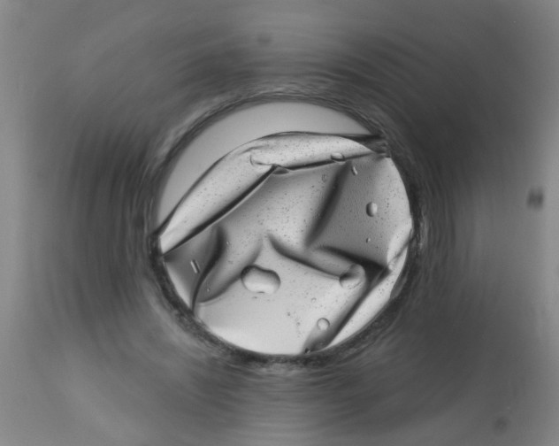 X0000113860444200910221445