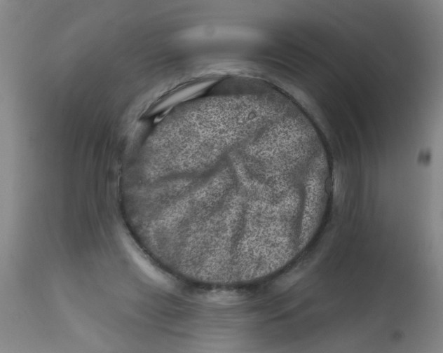 X0000113860445200910221445