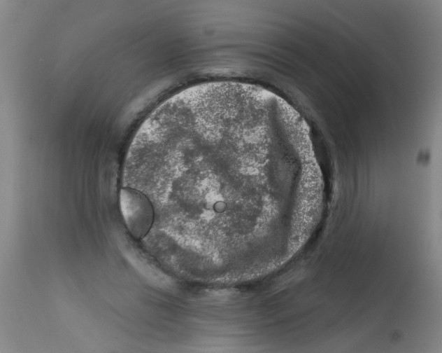 X0000113860446200910221445