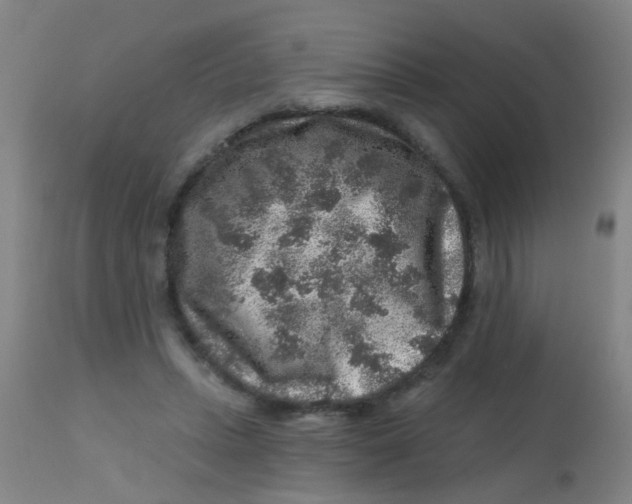 X0000113860447200910221445