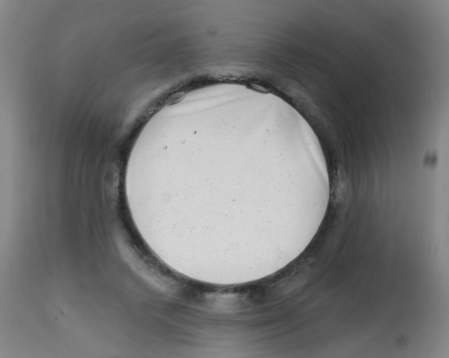 X0000113860448200910221445