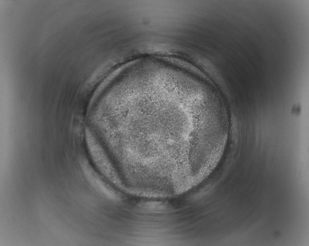 X0000113860449200910221445