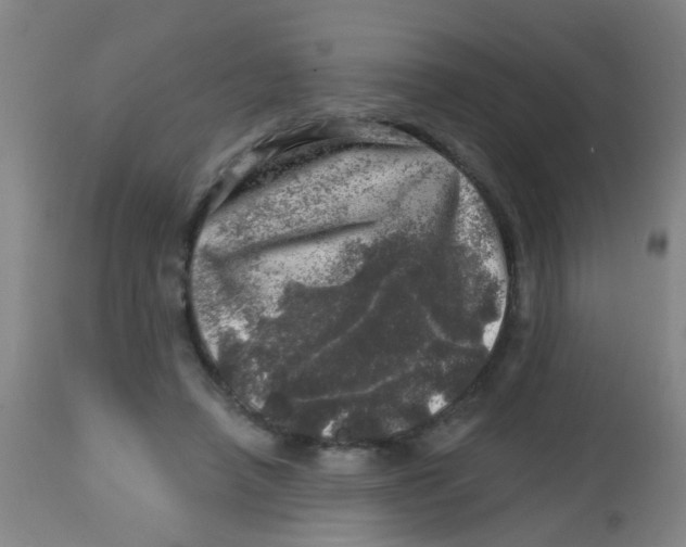 X0000113860450200910221445