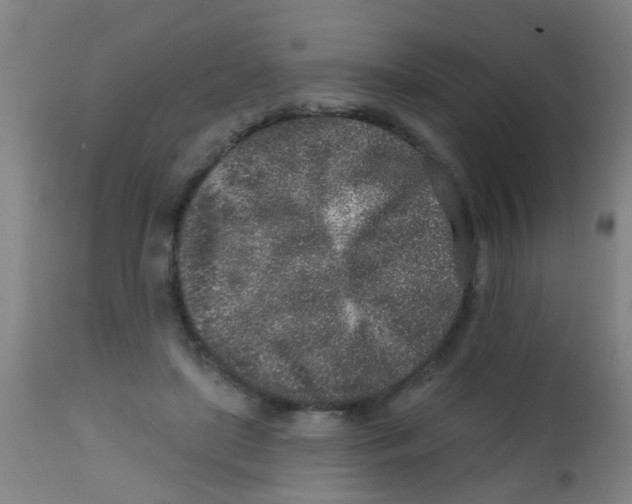 X0000113860451200910221445