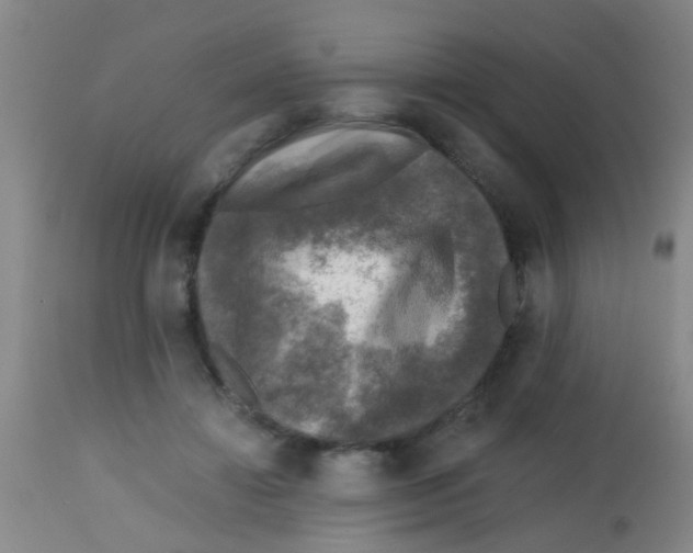 X0000113860452200910221445