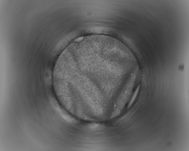 X0000113860453200910221445