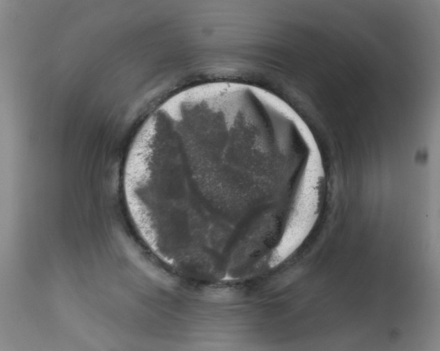 X0000113860454200910221445