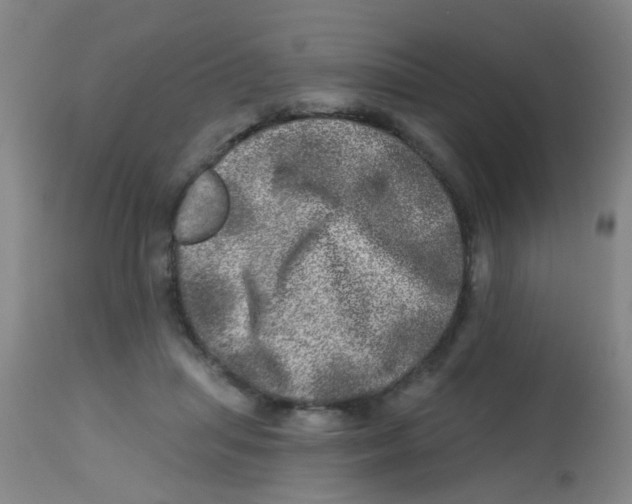 X0000113860455200910221445