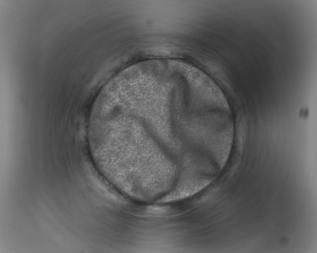 X0000113860457200910221445