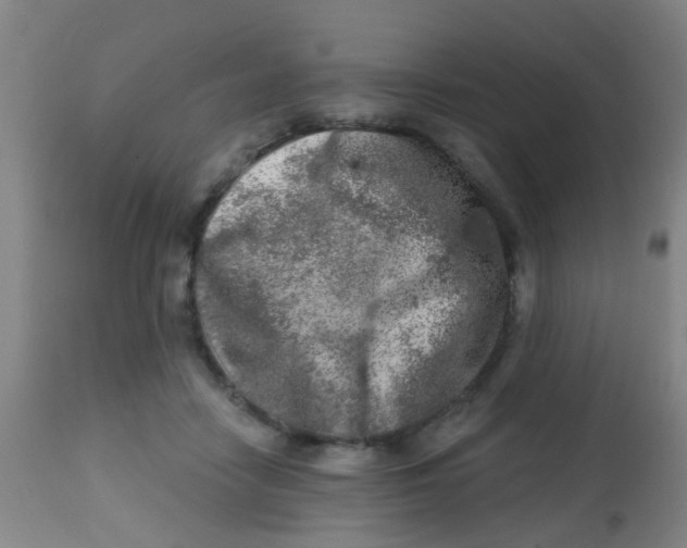 X0000113860458200910221445