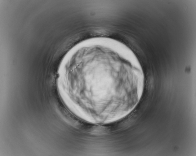 X0000113860459200910221445