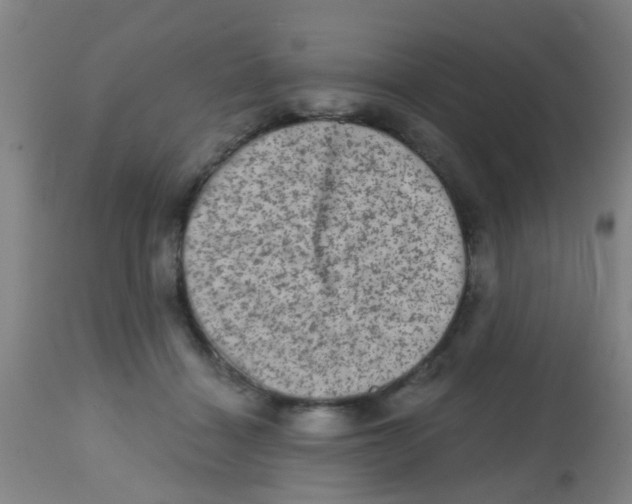 X0000113860460200910221445